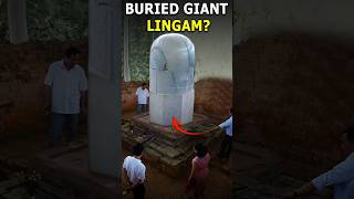 A Shocking Discovery In Vietnam?