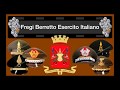 Fregi berretto Esercito Italiano