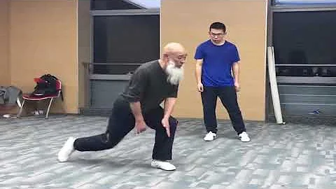 Xinyi Liuhe Basic Stepping by Master Yang Hai Ming