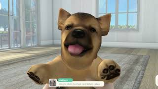 ADOPT PUPPIES GAME - Gameplay Walkthrough Part 1 Android screenshot 5