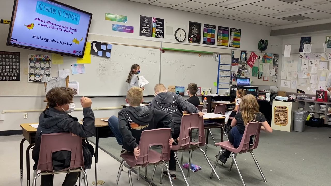 Video lesson compare and Contrast