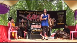 GANESA ,LELIY GANESA