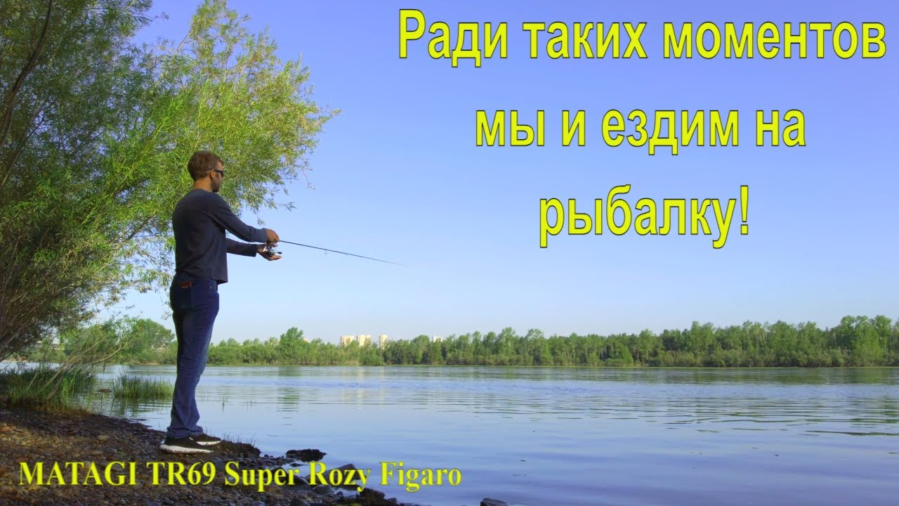Рыбалка на Енисее. Спиннинг. Окунь и щука. MATAGI TR69 Super Rozy Figaro.
