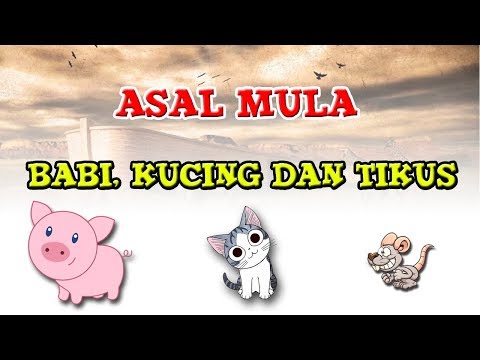 asal-mula-babi-tikus-dan-kucing