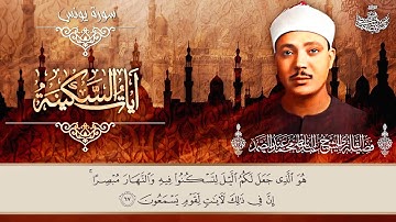 آيات السكينة لدفع القلق والهموم ♥️ | Ayat As-Sakinah - VERSES OF TRANQUILITY