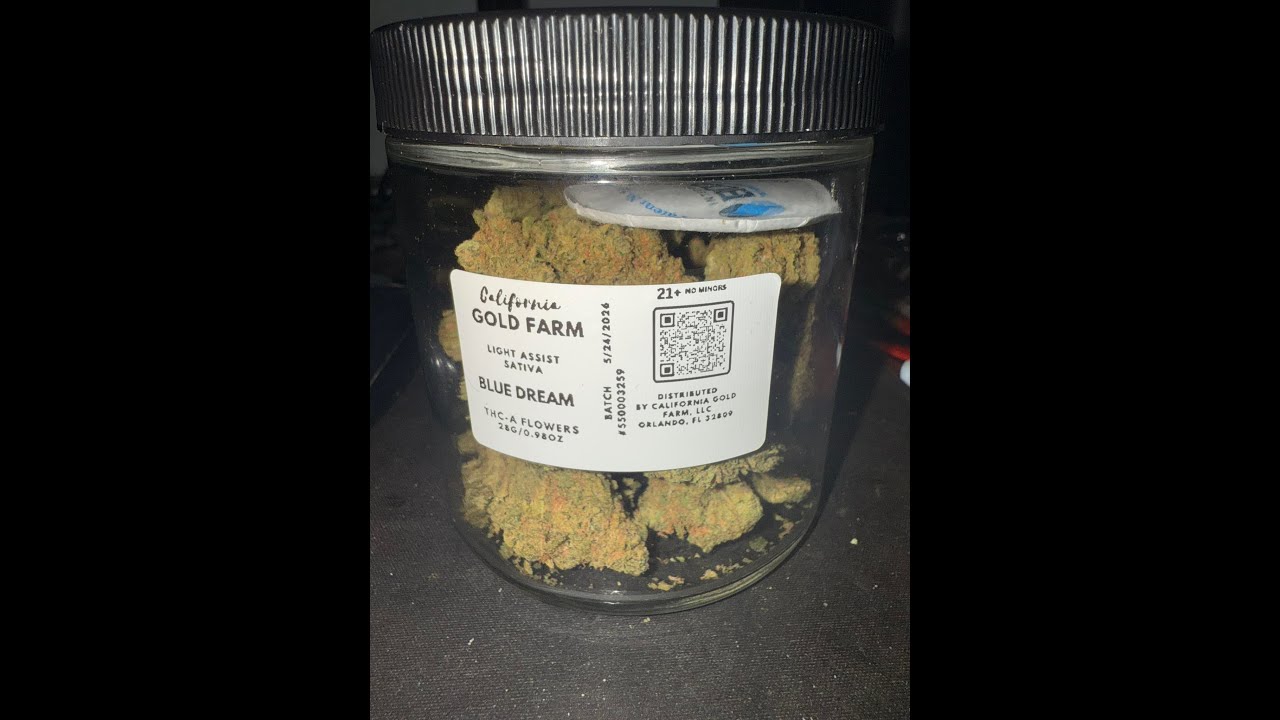 Blue Dream THCA Flower From California Gold Farm Blaze Session Review