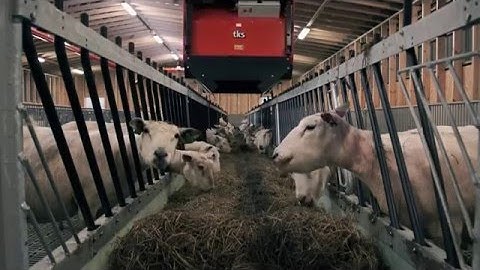 KUHN System TKS EasyFeed Schapen voeren