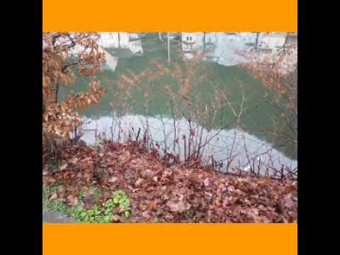 "СНЫ ЭДЕМА" - НОКТЮРН ФЕЛИКСА ЗИГЕЛЬБАУМА - ИЗ ЕГО "ЛЕТНЕГО ВЕНКА НОКТЮРНОВ". ГОД СОЗД. - 2021