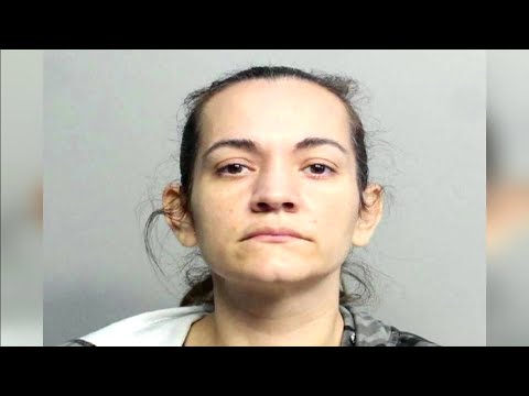 Hammocks Community Association president, ex-treasurer faces fraud, theft charges