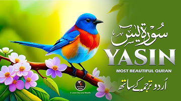 Surah Yasin (Yaseen) for Healing | Relieve Stress, Depression & Anxiety | سورة يس | Relaxing Voice