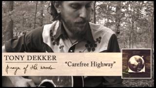 Video thumbnail of "Tony Dekker - Carefree Highway [Audio]"