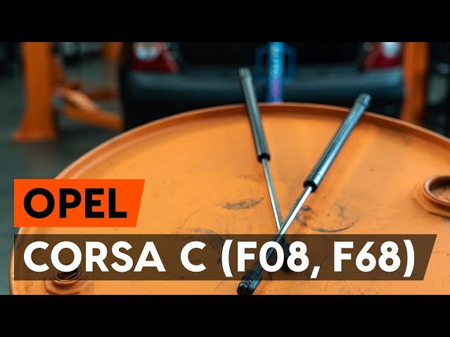 NOCHE Molle A Gas Molla A Gas per Portellone Posteriore 9114311 2839KB 132670 132671 per Vauxhall per Opel per Corsa C 2000-2006 Hatchback 2 Pezzi Molle A Gas Cancello Posteriore