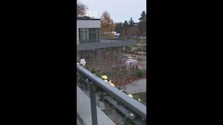 Winterfest returns to Downtown Kirkland