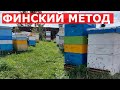 ВАРВАРСКИЙ МЕТОД ЗАМЕНЫ МАТКИ/пчеловодство 2020