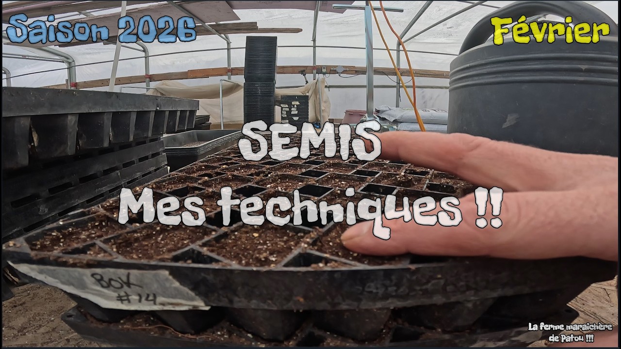 Québec | SEMIS | Mes Techniques de semis | Trucs et conseils!