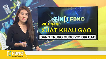 Việt Nam xuất khẩu gạo sang Trung Quốc với giá cao | Tin tức Việt Nam mới nhất ngày 21 tháng 4/2020