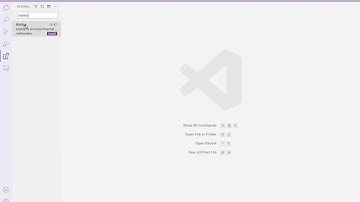 Malloy VS Code Extension Setup