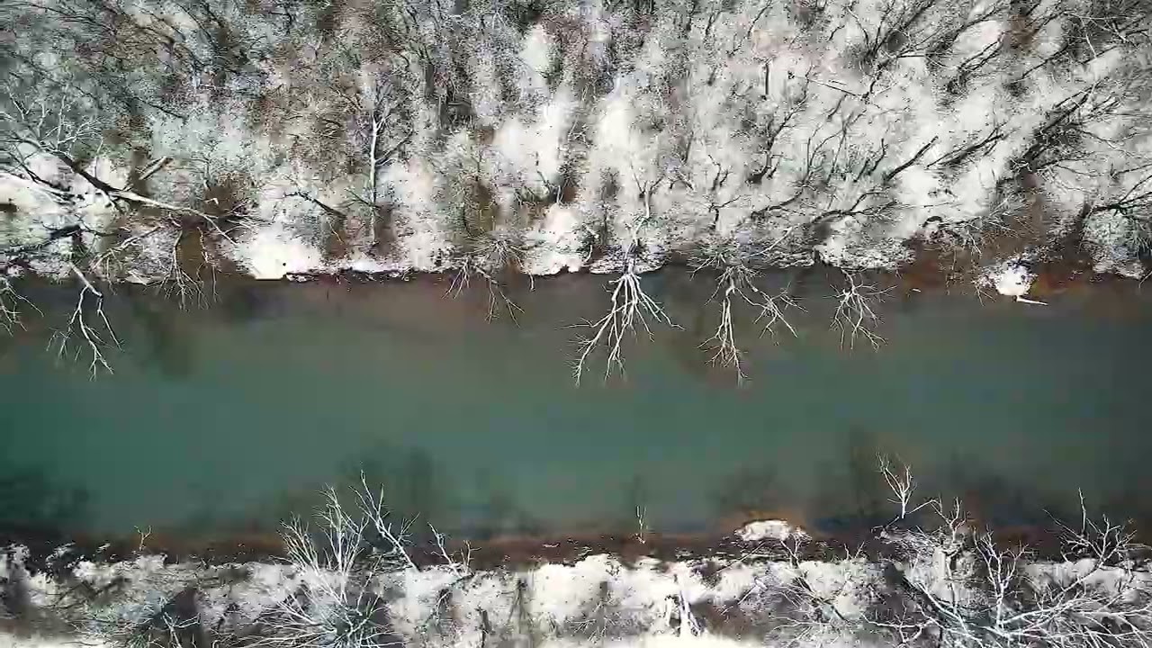 Turnback Creek Fresh Snow January 25 2023