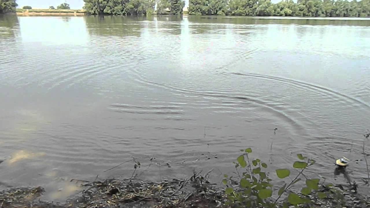 FeiLun FT007 тест драйв =)