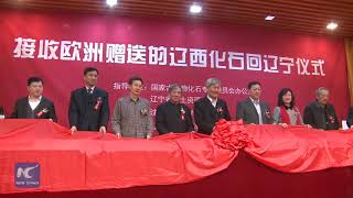 French collector returns dinosaurs, bird fossils to China