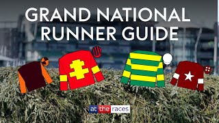 2024 Grand National runner guide and prediction with Tom Scudamore! screenshot 5