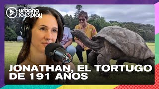 Jonathan, el animal más longevo del mundo #PuntoCaramelo