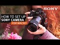 How To Set Up Your Sony Camera For Macro | Sony Alpha Universe