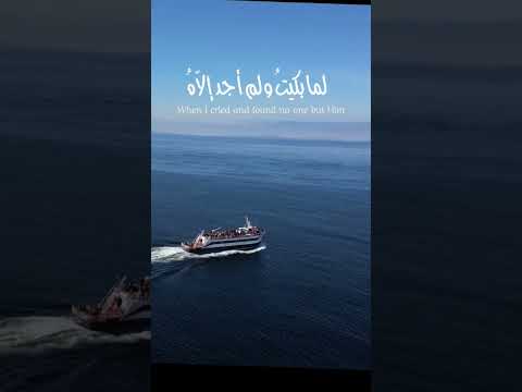 القرآن الكريم اناشيد حالات واتس قرآنية أيقنت أن الله يجبر خاطري أناشيد دينية منصور السالمي