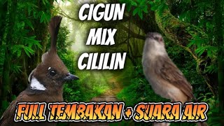 MASTERAN CIGUN mix CILILIN FULL TEMBAKAN