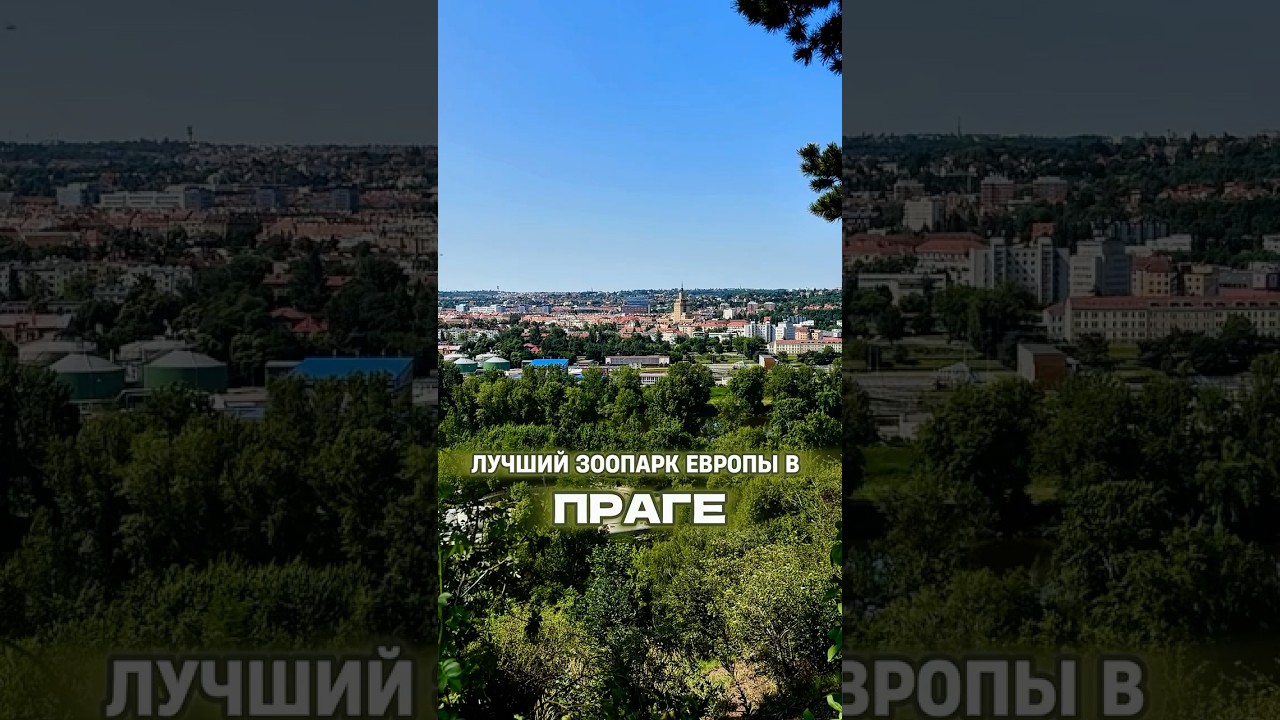 ЛУЧШИЙ ЗООПАРК ЕВРОПЫ В ПРАГЕ  