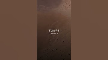 سورة المائدة