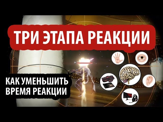 Скорость реакции и аима в шутерах! Как улучшить реакцию и аим! - YouTube