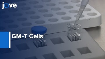 SB and Artificial Antigen Presenting Cells in GM-T Cells: Application | Protocol Preview