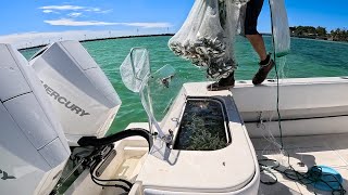 Live Bait Tuna Fishing | All Fired Up | Patience Pays CCC