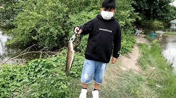 CÂU CÁ LÓC HỒ ÚT LỆ  - THANH ĐA - TPHCM