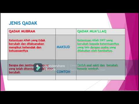 Video Qadak