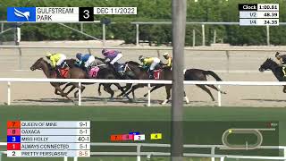 Gulfstream Park Carrera 3 - 11 De Diciembre 2022