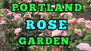 70 Beaitiful rose varieties with names / Portland Rose Garden Tour May 2026