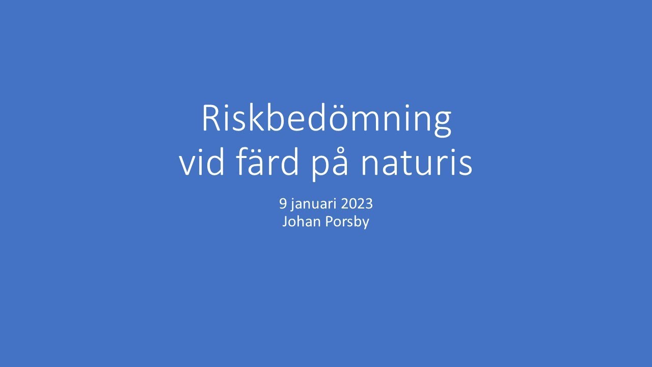 Riskbedömning
