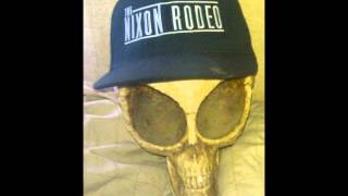 The Window by THE NIXON RODEO