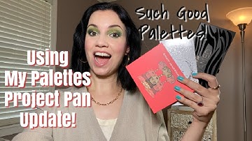 USING MY EYESHADOW PALETTES PROJECT PAN UPDATE//Using My Neglected Palettes!