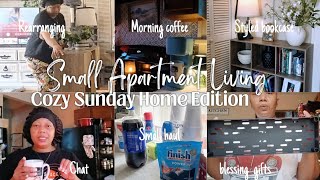 VLOG| SMALL APARTMENT LIVING|cozy sunday home edition|chatty vlog, haul, unbox with me, home reset, 