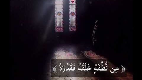 ثلاث آيات تختصر الحياة ||أحمد النفيس
