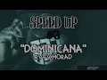 Dominicana - RVFV,MORAD (speed up)