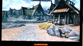 Alienware M17x R4 with 7970M Enduro - StarCraft II and Skyrim Rendering Errors