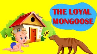 THE LOYAL MONGOOSE | panchatantra english stories | kids english moral story