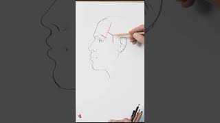 Рисуем висок правильно