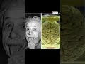 Beyin Hırsızlığı Skandalı! Einstein Öldükten 7 Saat Sonra Beyni Çalındı.
