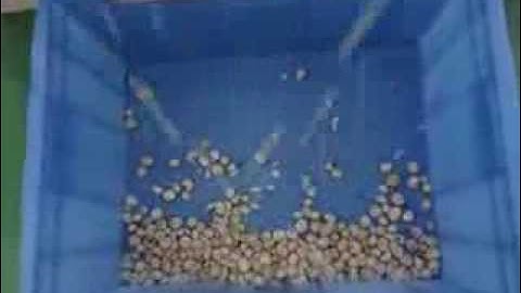 Macadamia nuts sorting  separating shell and kernel sorting machine manufacturer