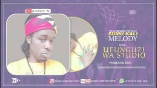 SUMU KALI MELODY SONG UFUNGUZI WA STUDIO ( audio)#misangutv